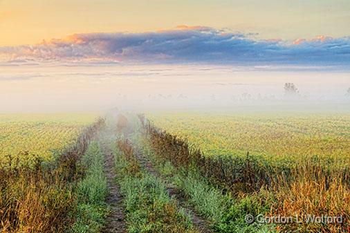 Misty Farm Lane At Sunrise_26794.jpg - Photographed near Smiths Falls, Ontario, Canada.